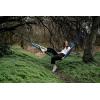image:imageStansport Balboa Packable Cotton Blend Hammock 30700