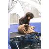 image:imageStansport Camping CotBase Camp Folding Cot