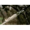 image:imageStansport Cotton Blend Traveler Hammock Blue One Size 3030050
