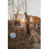 image:imageStansport 5 Gallon Dispensing Water Carrier 295Red