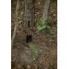 image:imageStansport 6in1 Survival Tool 327