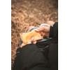 image:imageStansport Reusable Hand Warmers  2 Pack 6262