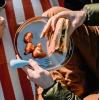 image:imageStansport Camping PlateStainless Steel