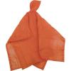 image:imageStansport Vinyl PonchoOrange