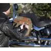 image:imageStansport Saddle BagOlive Green