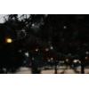 image:imageStansport 117100 30 LED Outdoor String Lights with Remote