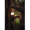 image:imageStansport Wire Mesh Lantern Globe For 170 167100
