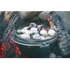 image:imageStansport PreSeasoned Cast Iron Dutch OvenDutch Oven